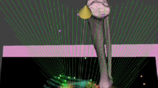 Scientists Create Method Of Uploading Your Entire Body To A Computer
